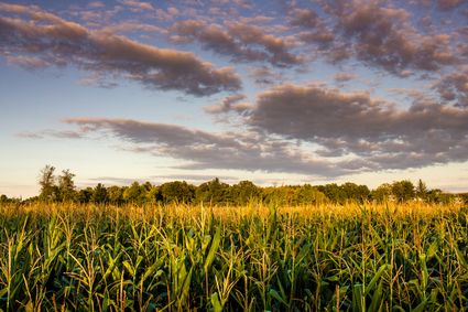 Lake County, MI