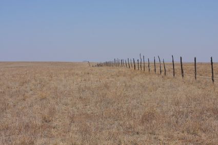 Harding County, NM