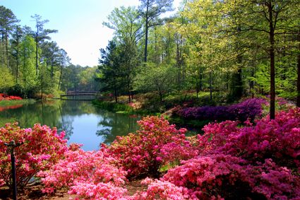 Atlanta Regional Commission (Northeast)--Forsyth County (North) PUMA, GA